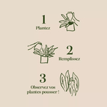 instruction