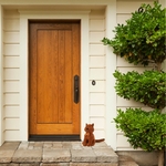Chat devant la porte