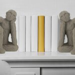Deux cales livre avec des livre entre eux