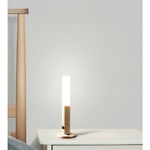 Smart light