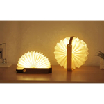 2 Lampes accordéons allumées