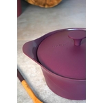 Cocotte de cuisine et son ustensile en boit