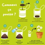 Comment ça pousse  mauvaises graines chez ugo et lea