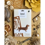 LOVI TECKEL CHEZ UGO ET LEA 5