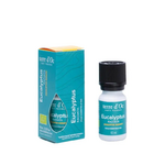 Huile essentielle Eucalyptus radiata 10 ml