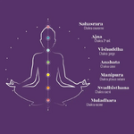 fiche du Coffret infusions 7 chakras