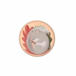Magnet rond 37 mm Loir / Sienbenschläfer
