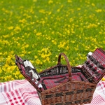 chez ugo et lea voyage et decouverte concept store cadeau dreux et rambouillet panier pique nique