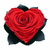 Roses éternelle XXL coeur rouge Kiara chez ugo & léa