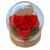 compostion florale rose eternelle rouge saint valentin. une idee cadeau chez ugo et lea realisee par un artisan fleuriste à dreux et rambouillet (1)