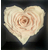 Rose de couleur rose clair en forme de coeur