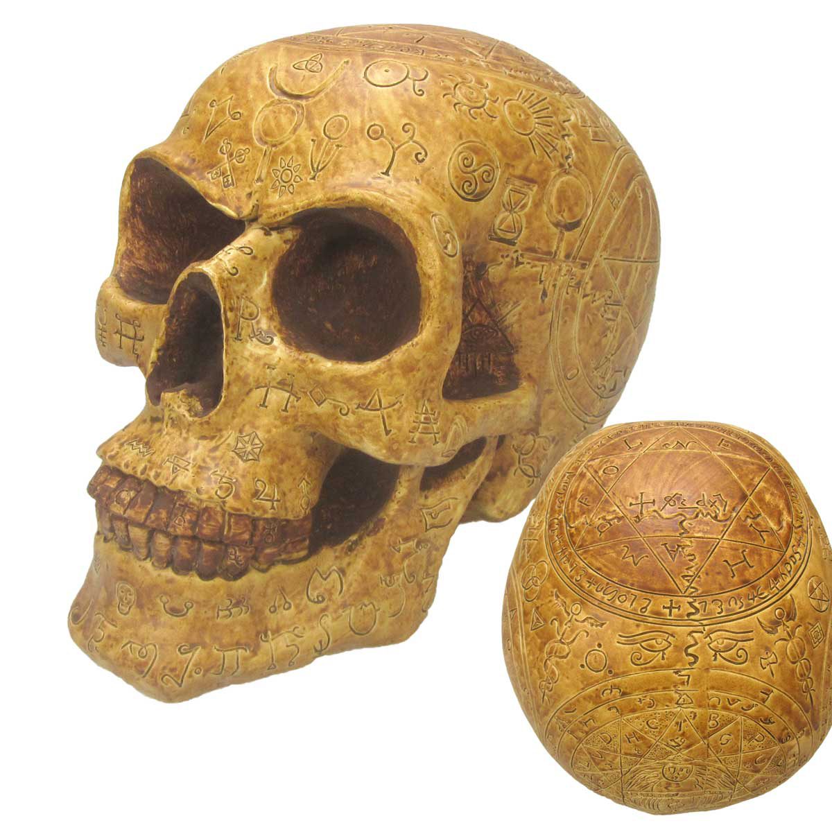 Figurine résine \'Tête de Mort\' marron (nécromancien) - 21 cm - [A3294]