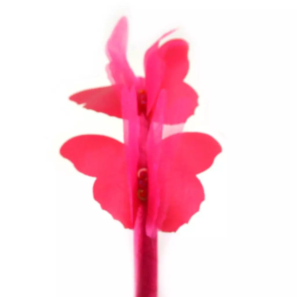 les trésors de lily Serre Tête 'Papillons' fuschia 7x5 cm [J5737]