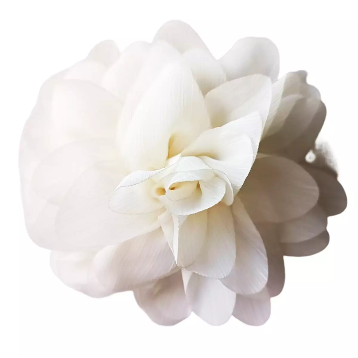 les trésors de lily Broche Créateur 'Rose Féérique' beige 15 cm [R8030]