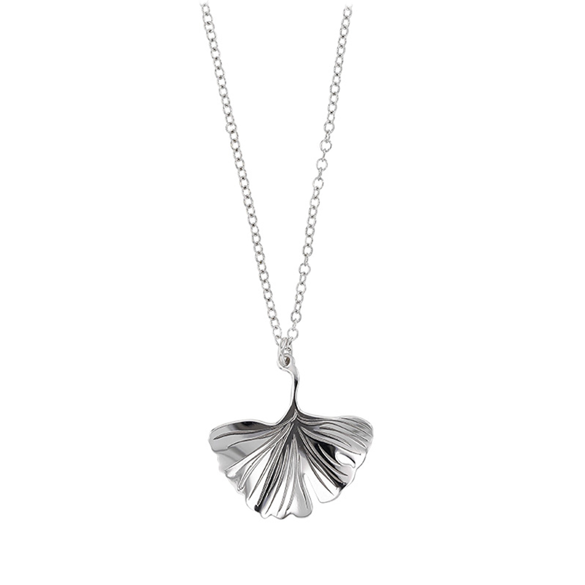 Collier Argent \'Ginkgo Biloba\' argenté (rhodié) - 22x20 mm - [Q6011]