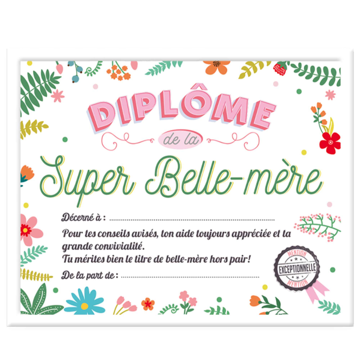 Cadre 'Diplôme de la Super Belle-mère' multicolore - 25x20x15 cm - [A0386]