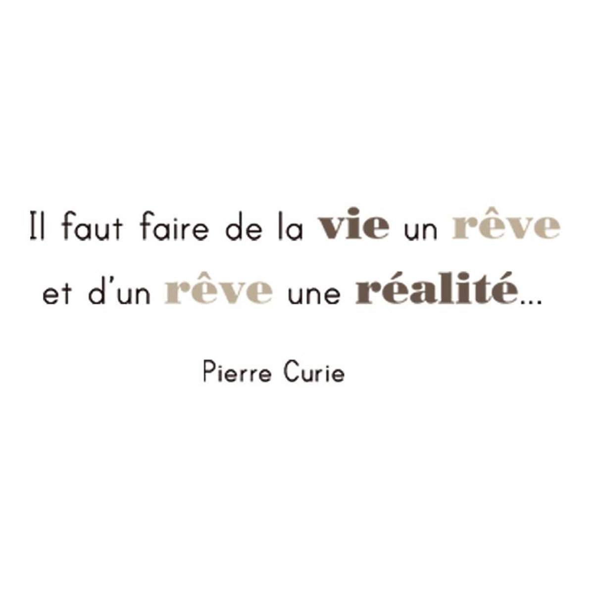 Planche de stickers \'Proverbes\' Il faut faire de la vie  - Pierre Curie (20x70 cm) - [L4975]