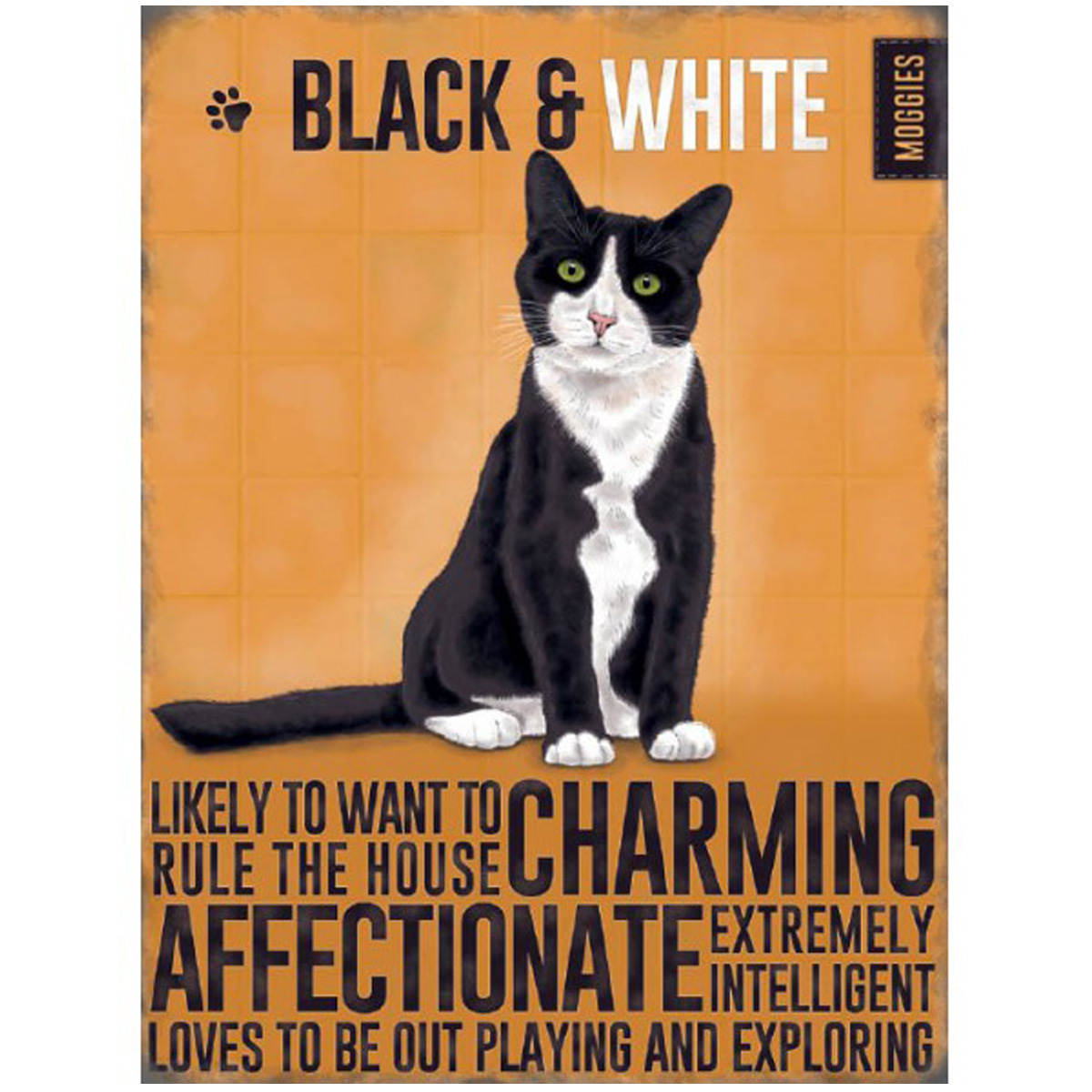 Magnet Metal Chats Orange Noir Blanc Chat Noir Blanc Black And White 9x65 Cm R1193