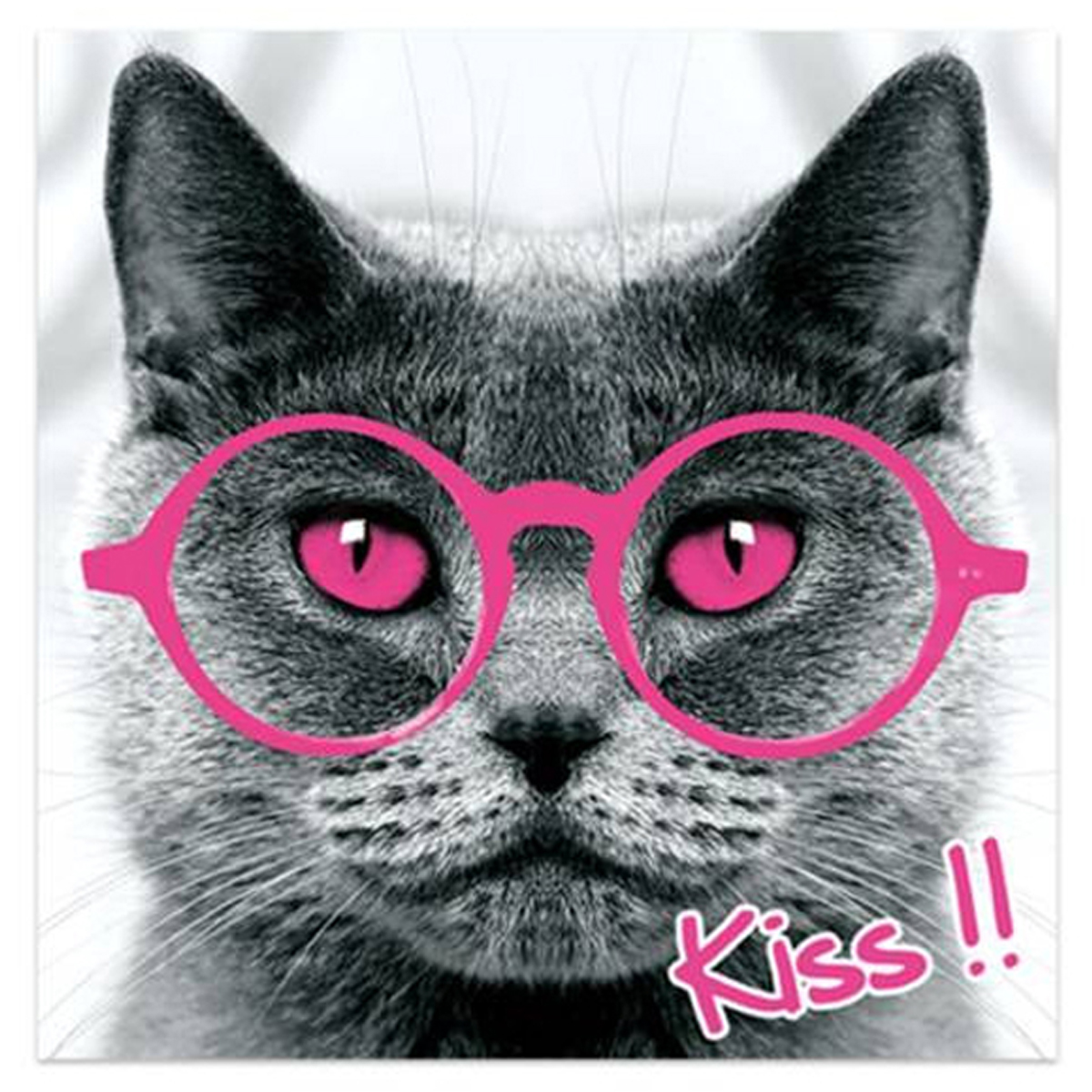 Toile \'Un amour d\'Animaux\' gris rose (chat) - 40x40 cm - [P6479]