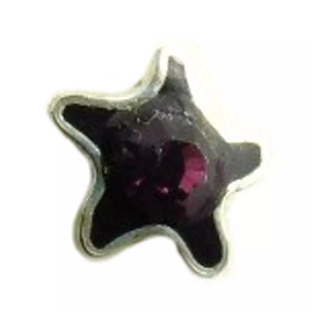 les trésors de lily Stud Argent 'Etoile' violet [G2131]