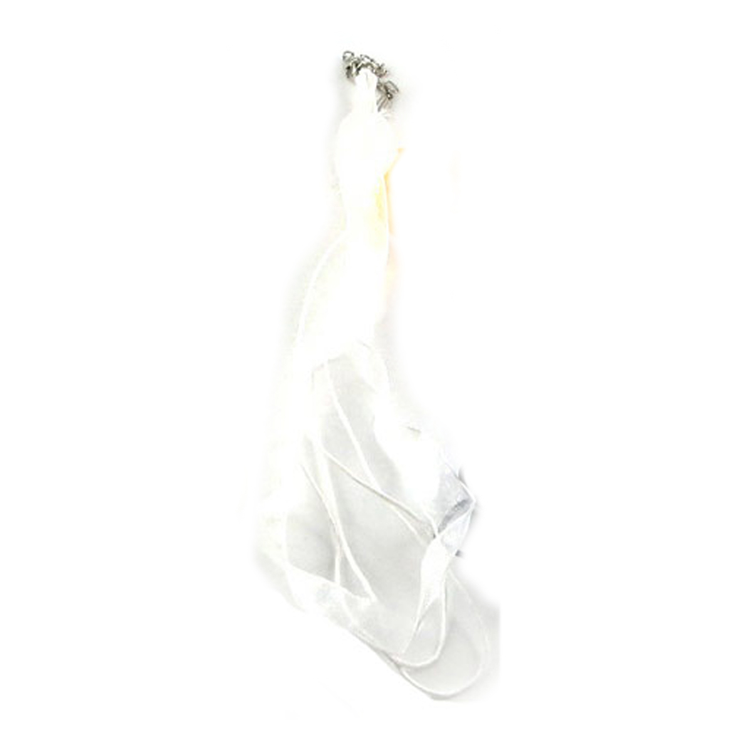 Cordon tulle \'Coloriage\' blanc - 45 cm 12 mm - [R5304]
