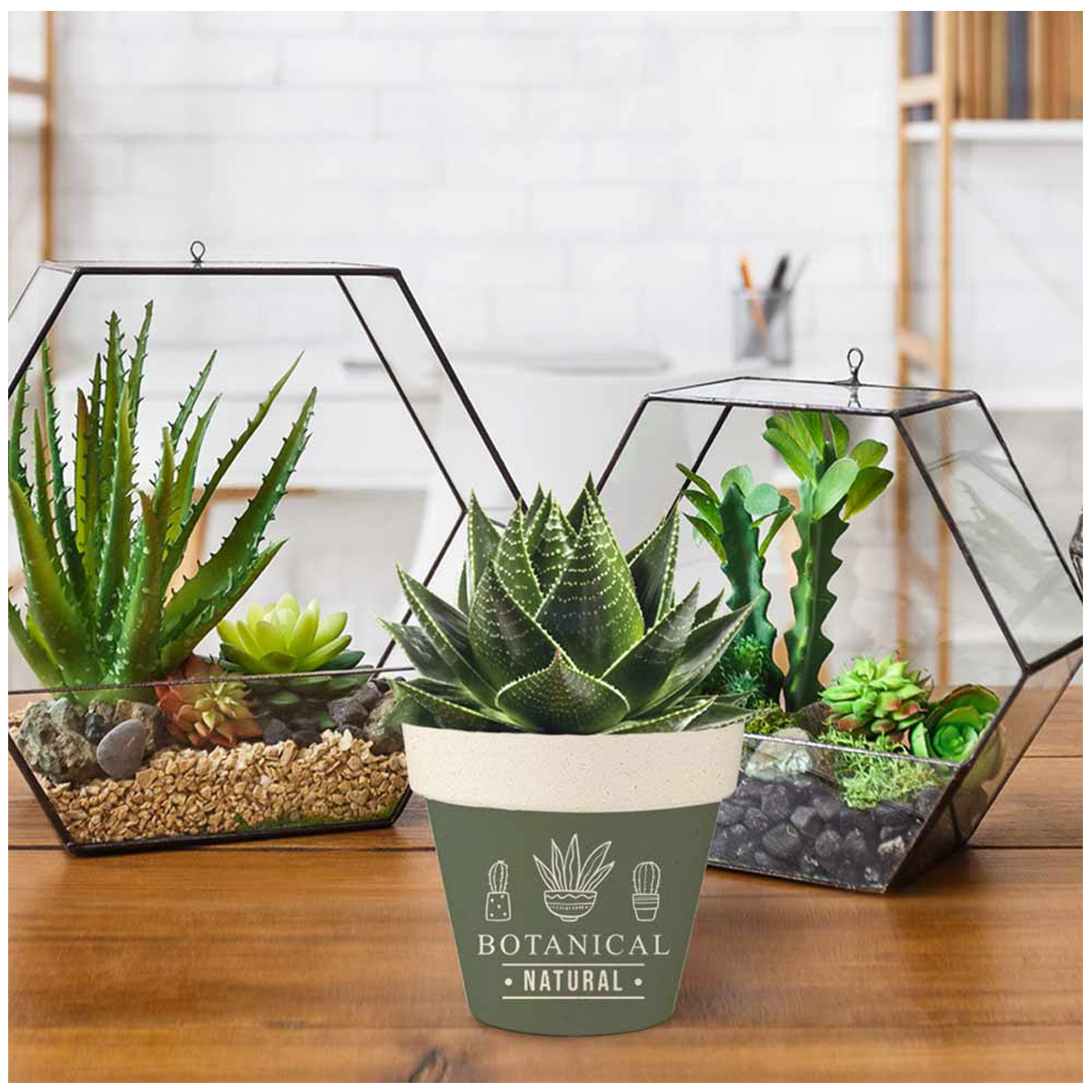Cache-pot bambou \'Messages\' vert (Botanical Natural) -  14x12 cm - [A1629]