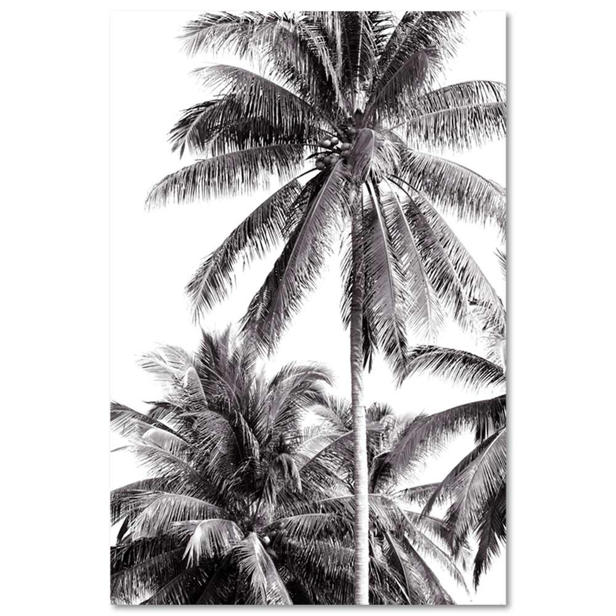 Toile noir & blanc \'Palmiers\' - 40x60 cm - [A0668]