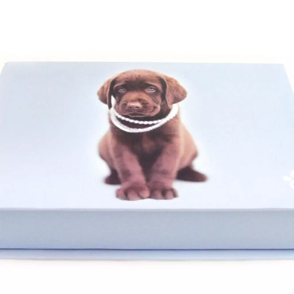 les trésors de lily Coffret Correspondance 'Chien Mamour' bleu rose 20x14 cm [G3115]