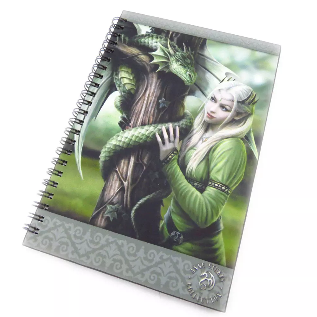 les trésors de lily Carnet à spirales 'Fairy Dreams' vert [J5595]