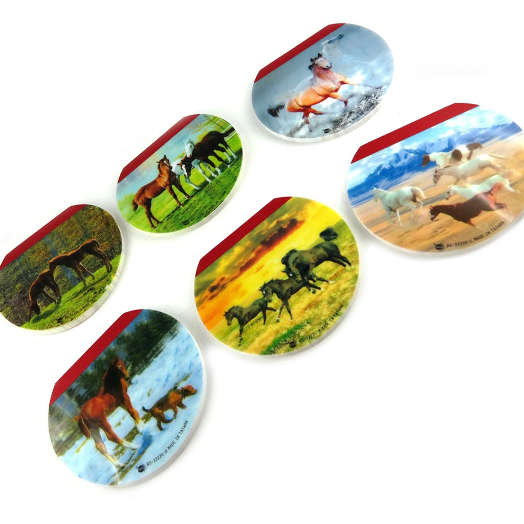 Set de 6 bloc note \'Passion Chevaux\'  - [L2486]