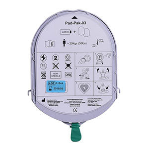 batterie et electrode adulte essai