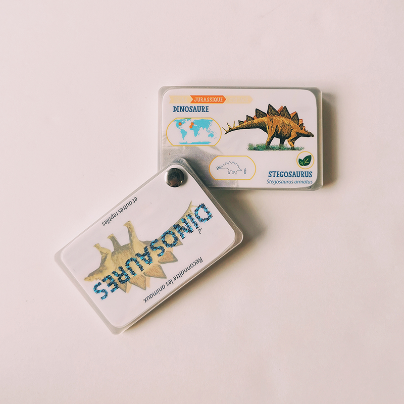 Carnet d\'identification des dinosaures