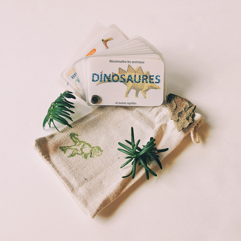 cartes de poche dinosaures