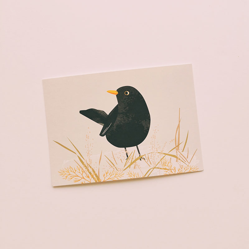 Carte postale illustrée oiseau - Merle