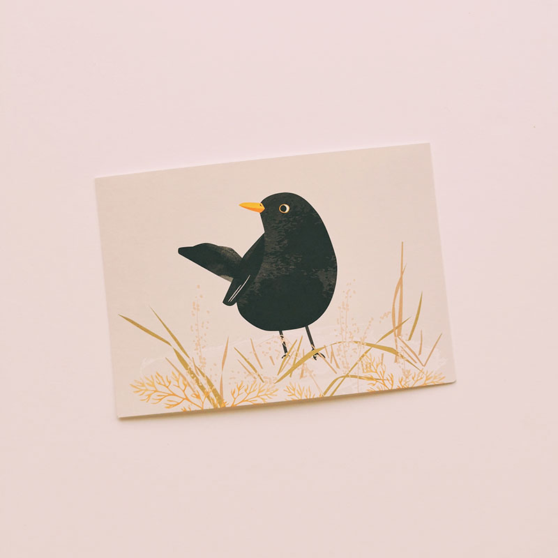 carte-postale-merle-cadeau-amoureux-oiseau