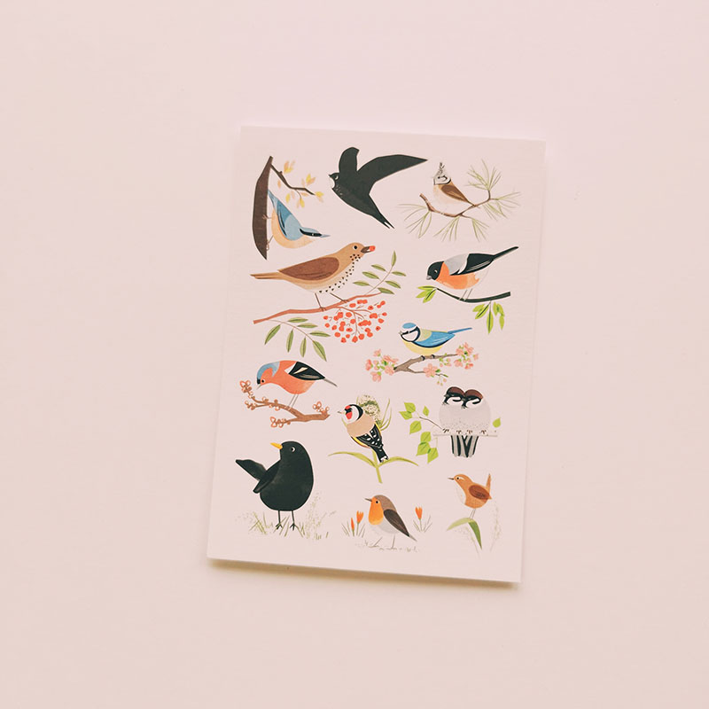Carte postale Oiseaux de nos jardins
