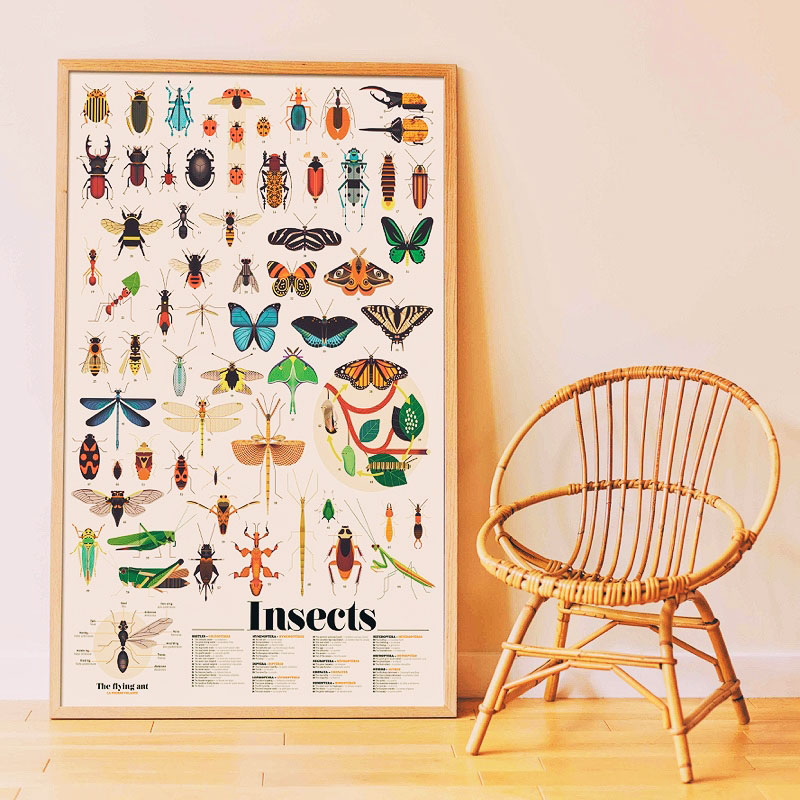Poster géant et autocollants Les insectes