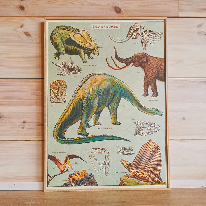 affiche dinosaure vintage pour déco de chambre d'enfants