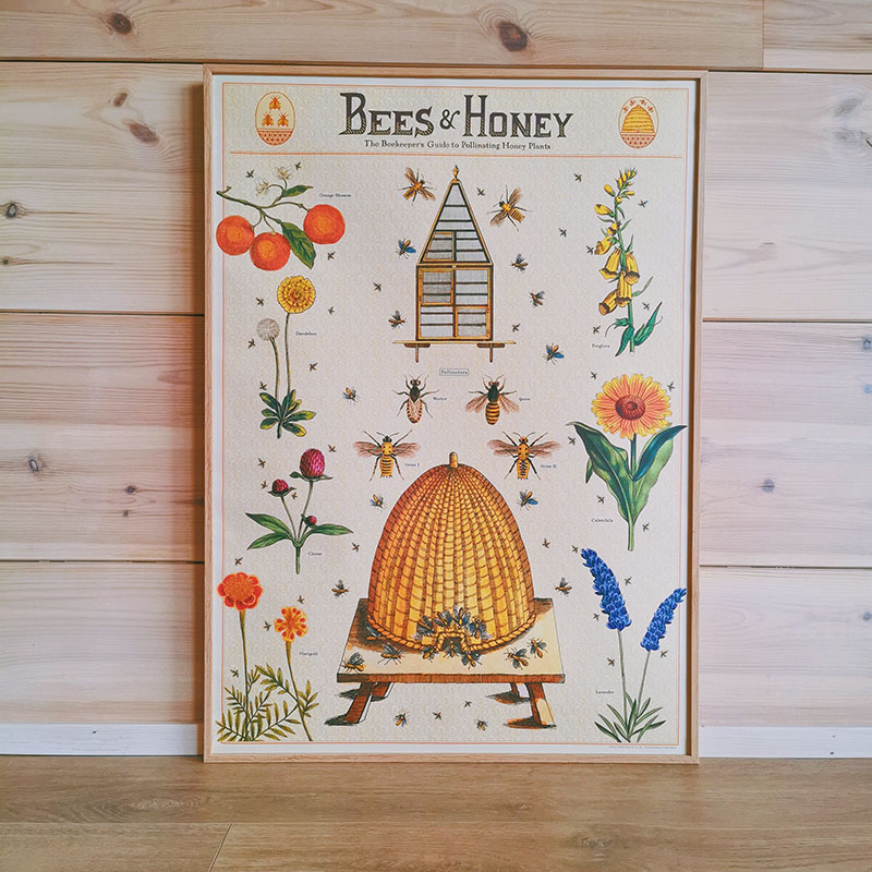 Affiche pédagogique vintage - apiculture - 50 x 70 cm