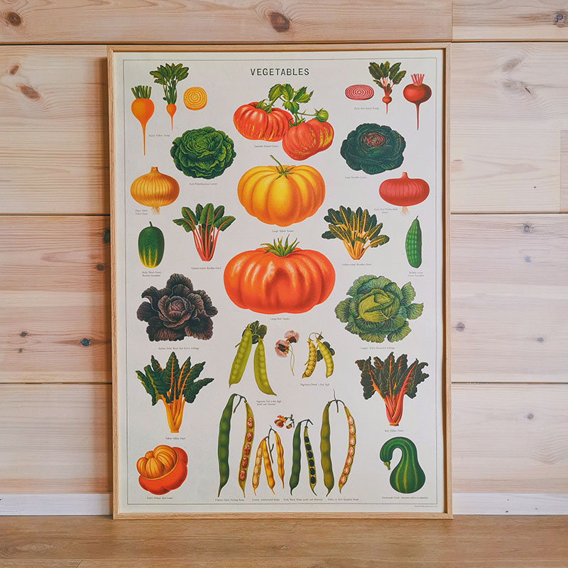 affiche colorée et vintage légumes du jardin potager cavallini and co