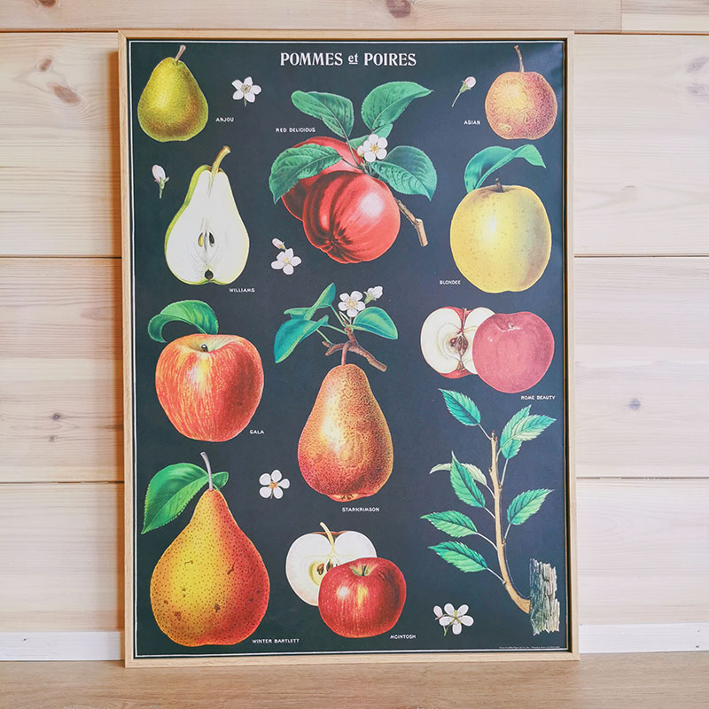 affiche variétés de pomme et poire vintage cavllini and co