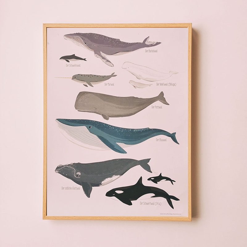 affiche vierundfunfzig animaux des mers baleines et orques