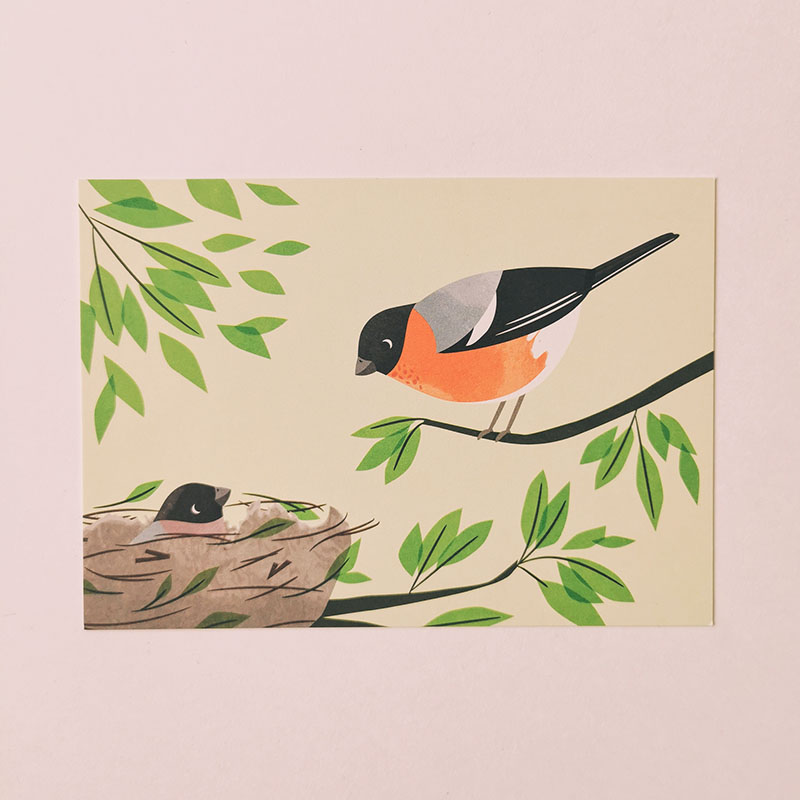carte postale oiseau et nid bouvreuil