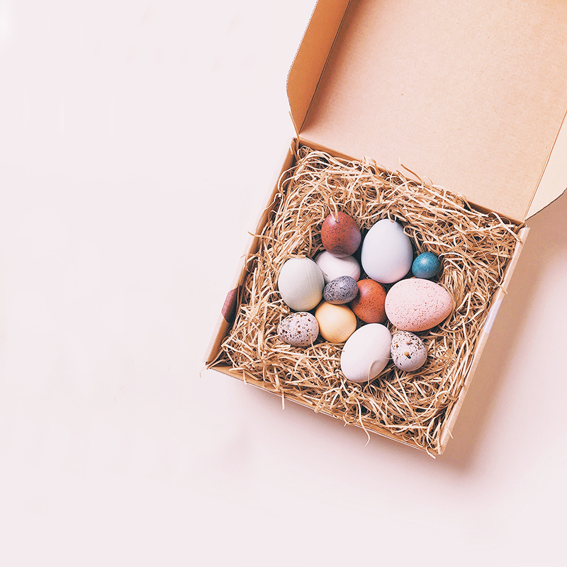 boîte de douze oeufs doiseaux en bois jouet moon picnic