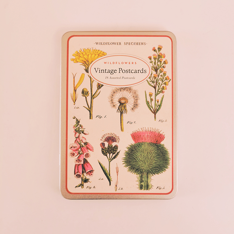 18 cartes postales vintage fleurs sauvages dans une boîte en métal