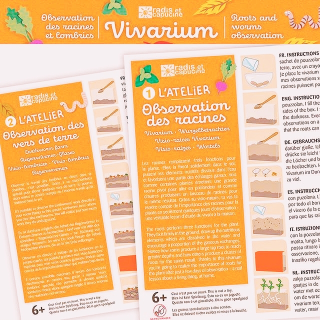 vivarium pour lobservation des vers de terre et des racines radis et capucine