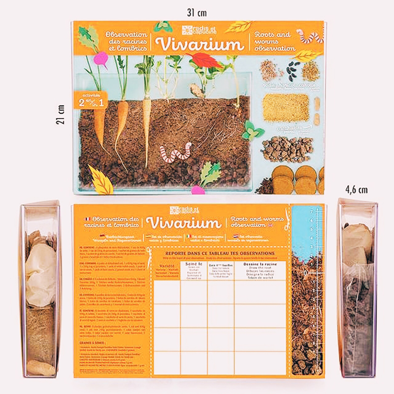 Kit vivarium enfant pour observer les racines - Radis et Capucine