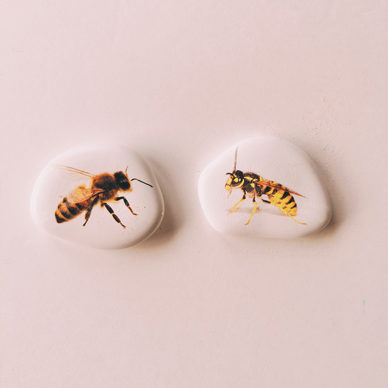 abeille et guêpe galets pédagogiques sur les insectes les petites graines de génie