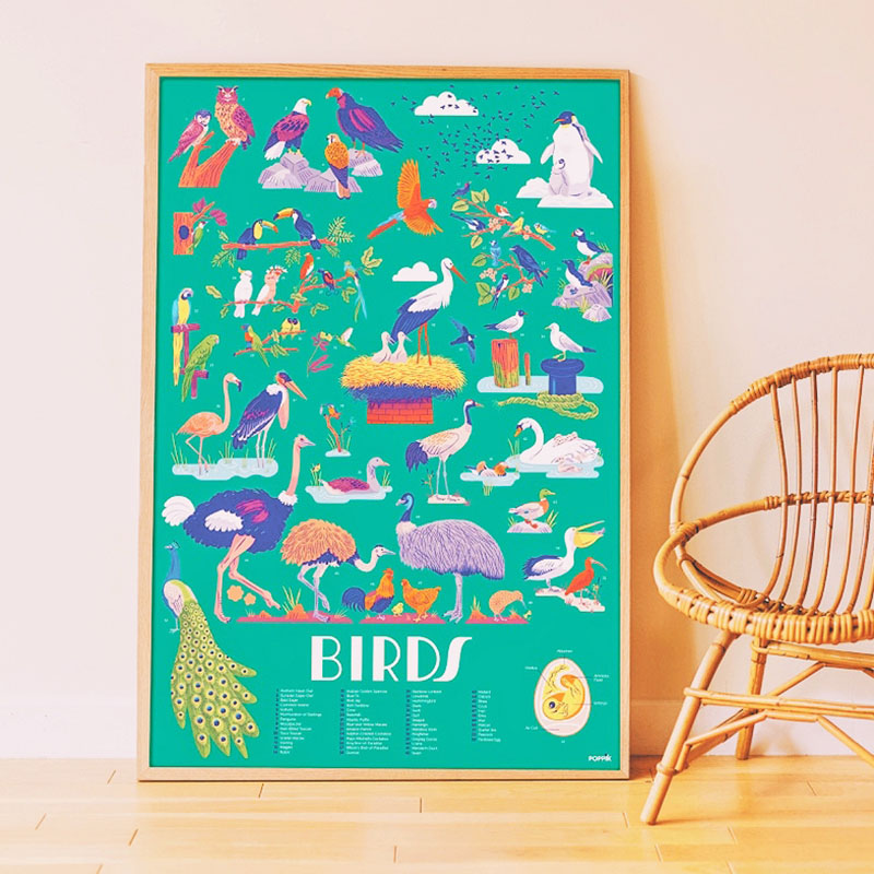 Poppik oiseaux - poster pédagogique et stickers autocollants