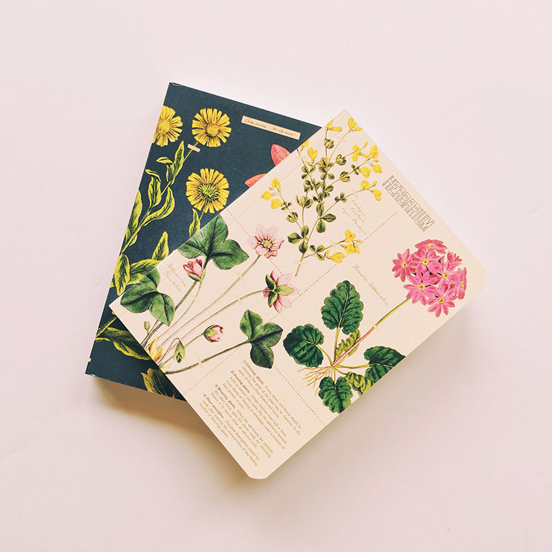 Carnet ligné A5 fleurs sauvages - Loisirs créatifs écolos/Carnets de  notes et cahiers - Môme des bois